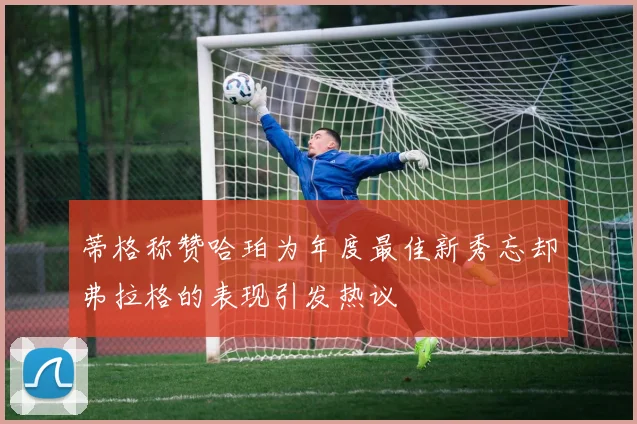 蒂格称赞哈珀为年度最佳新秀忘却弗拉格的表现引发热议