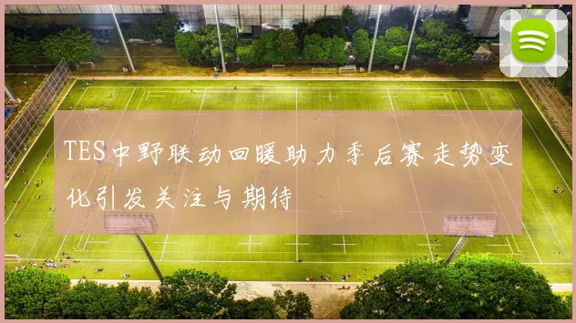 TES中野联动回暖助力季后赛走势变化引发关注与期待